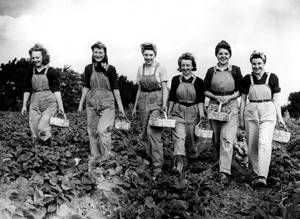 Land Girls strawberry picking 1944