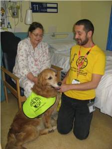 Graham with PAT dog Lucy and stroke patient at RSCH