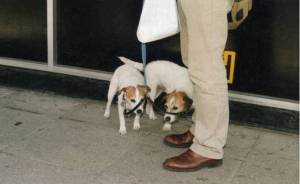 Carmen & Alec Soth, Untitled Brighton Picture Hunt, 2010