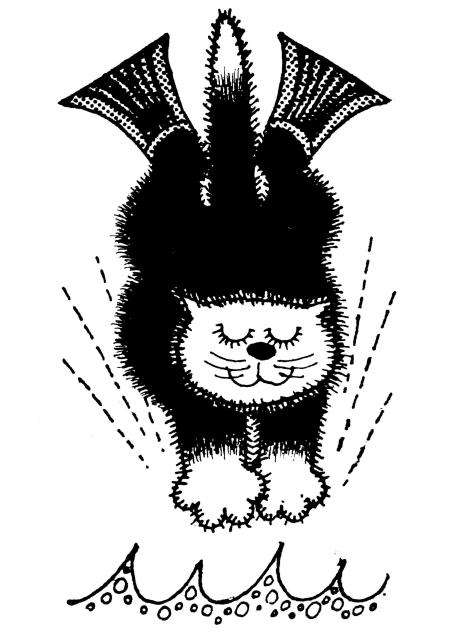 MAKE A SPLASH  SUMMER’S HERE AT LAST