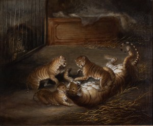 3 liger cubs 1824 attr to Richard Barrett Private collection