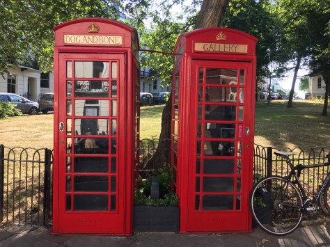 Dog and Bone Gallery